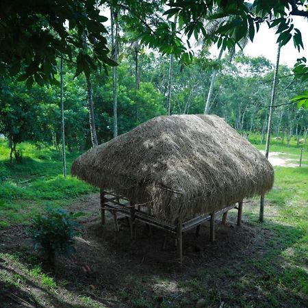 Royal Wooden Villa Mananthavadi Kültér fotó