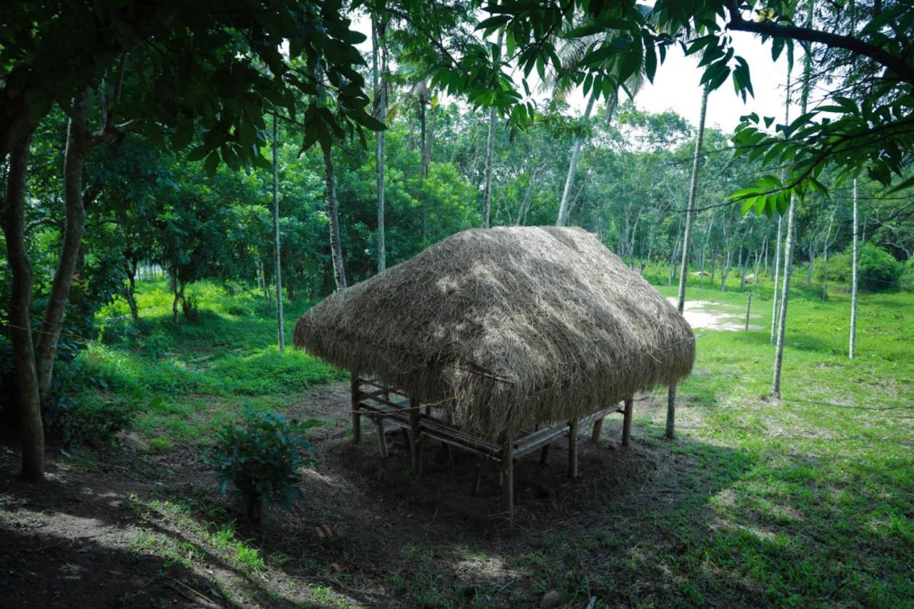Royal Wooden Villa Mananthavadi Kültér fotó